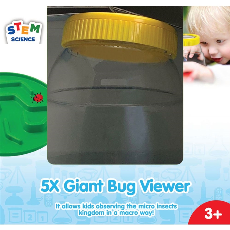 My First Giant Bug Viewer - Fandex/Product Detail/Educational