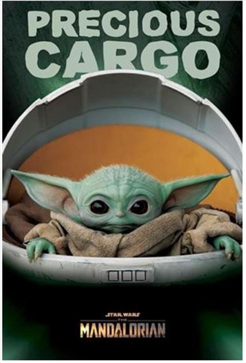 Star Wars: The Mandalorian - Precious Cargo/Product Detail/Posters & Prints