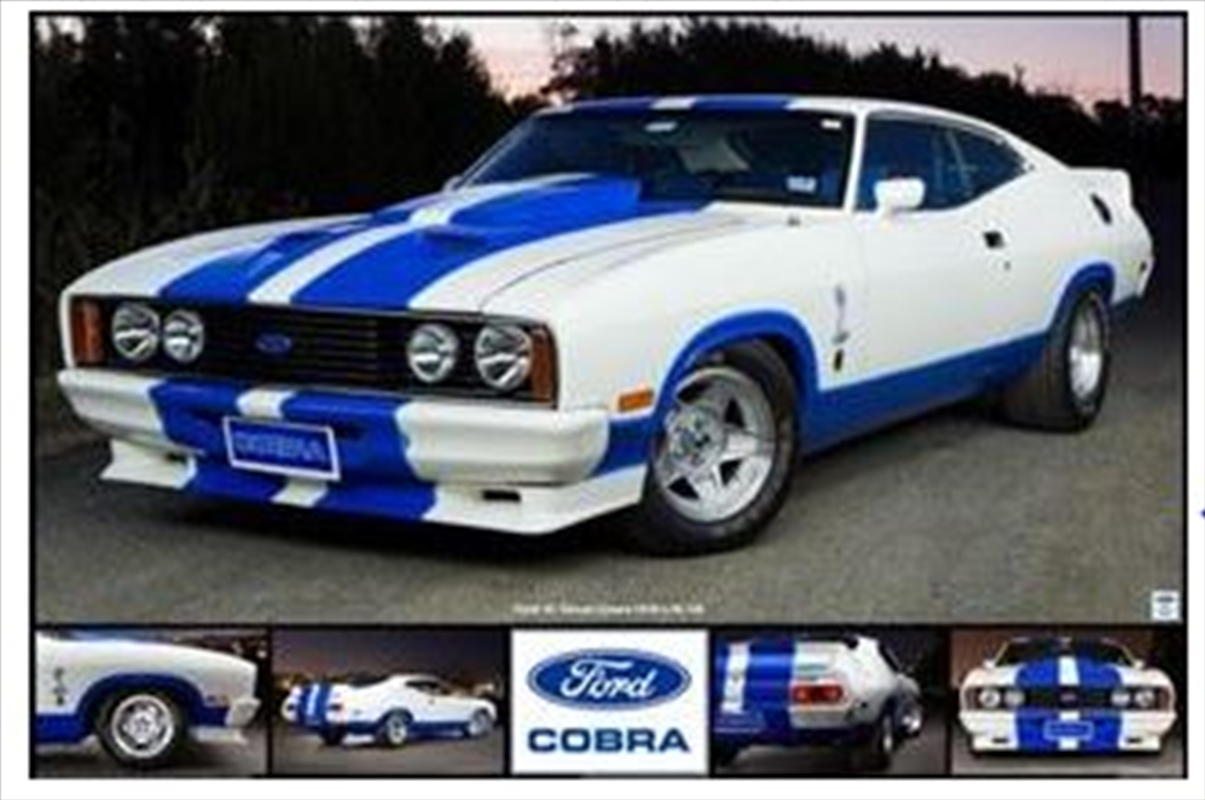 Ford - 1978 XC Falcon Cobra/Product Detail/Posters & Prints