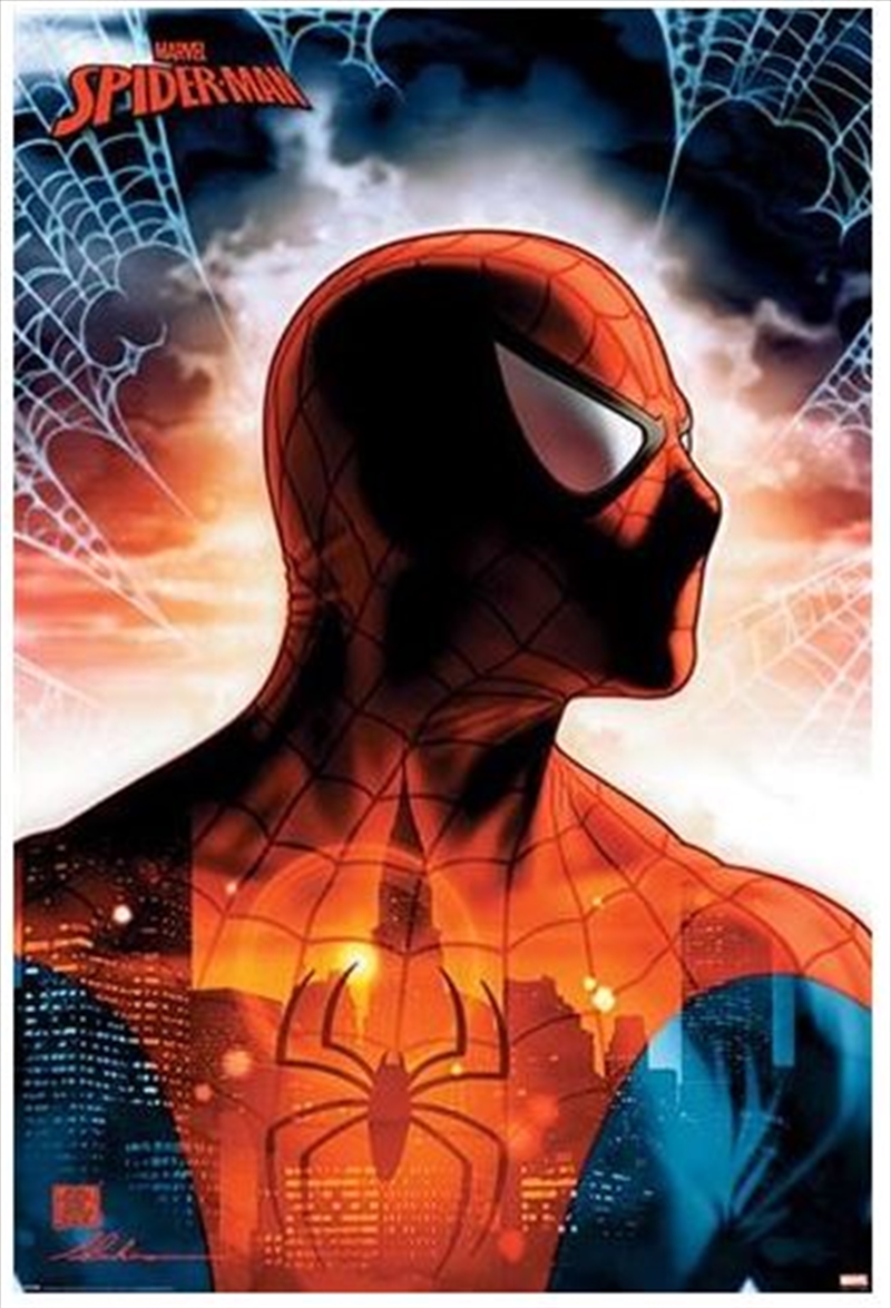 Marvel Spider-Man - Protector Of The City/Product Detail/Posters & Prints