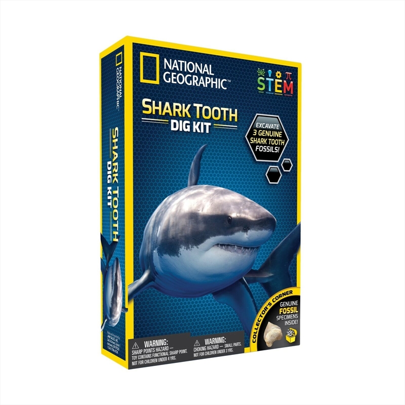 Shark Tooth Dig Kit/Product Detail/Arts & Crafts Supplies