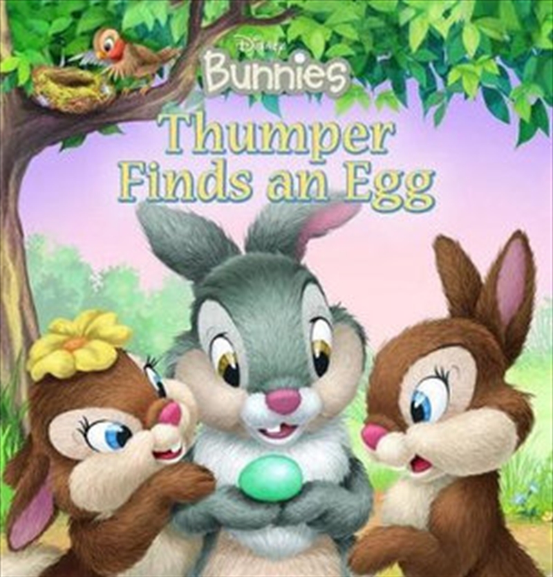 Thumper Finds An Egg/Product Detail/General Fiction Books