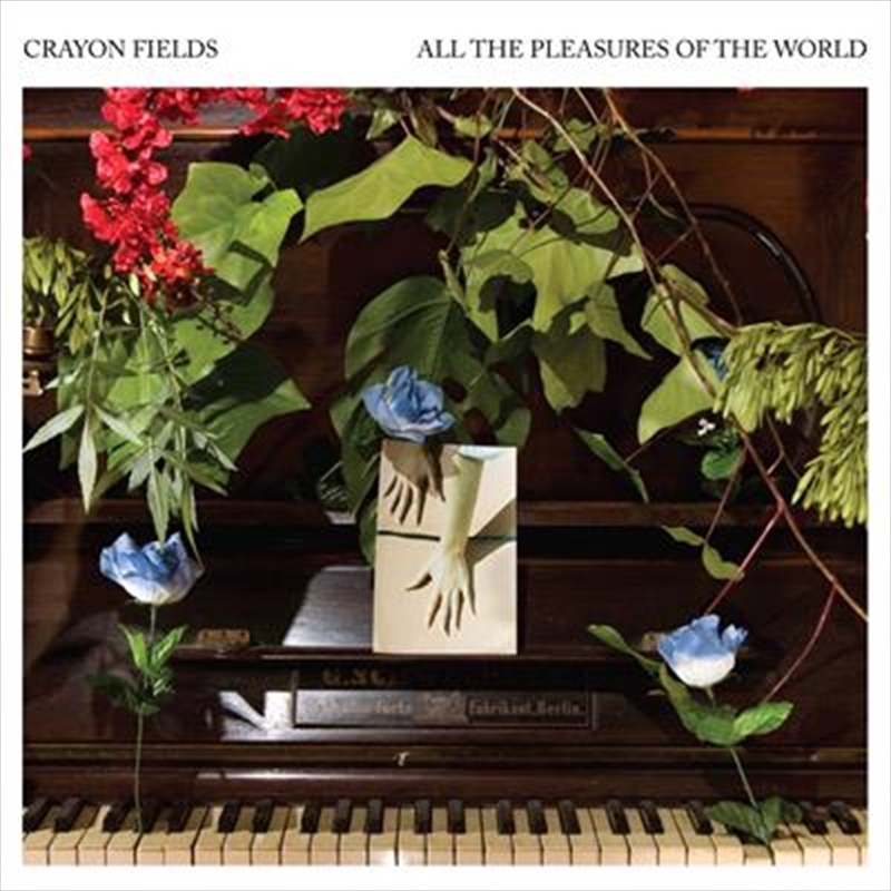 All The Pleasures Of The World - Deluxe Edition/Product Detail/Pop