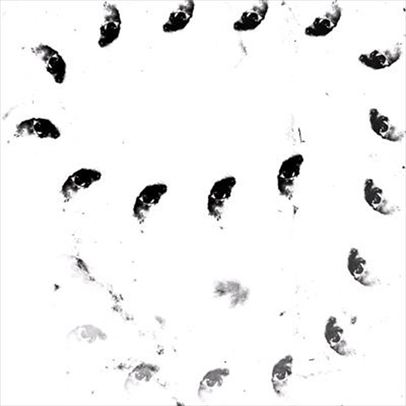 Moira/Product Detail/Dance