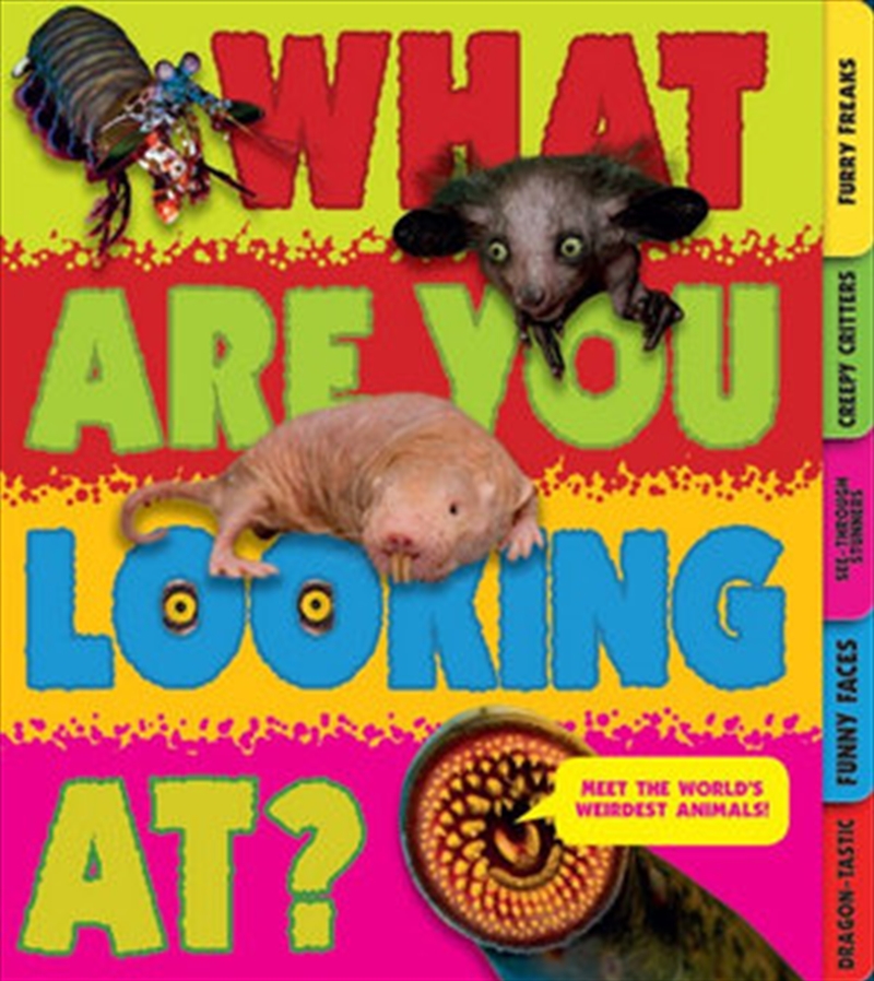 What Are You Looking At? Extraordinary Creatures You've Never Seen!/Product Detail/Children