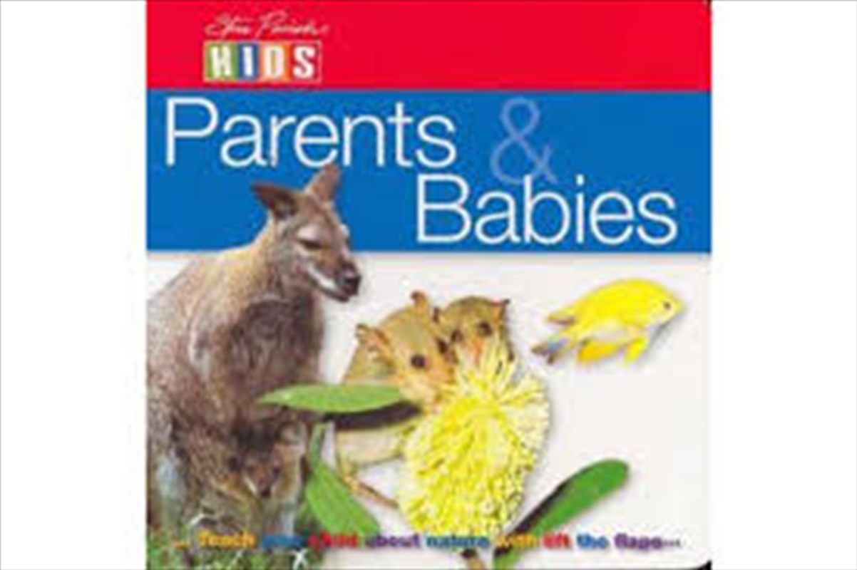 Steve Parish Lift-The-Flap Board Book: Parents & Babies/Product Detail/Children