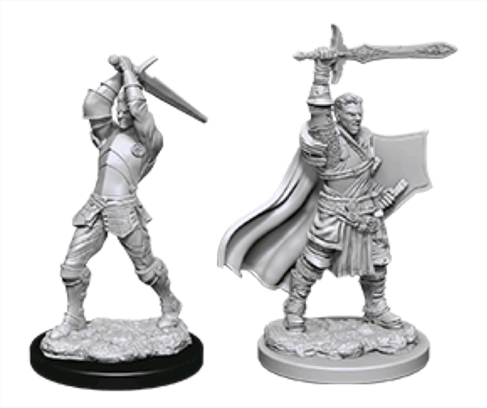 Dungeons & Dragons - Nolzur?s Marvelous Unpainted Minis: Male Human Paladin | Games