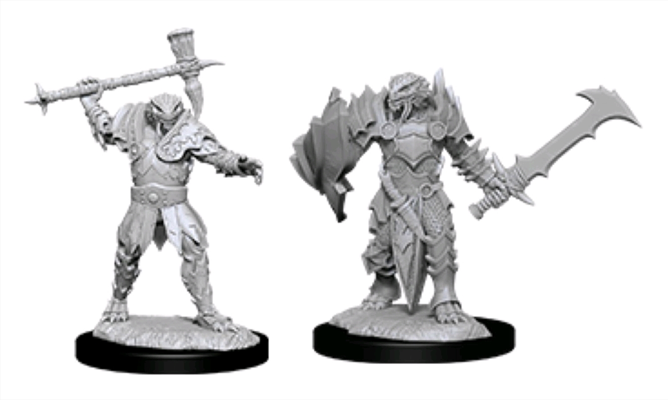 Dungeons & Dragons - Nolzur’s Marvelous Unpainted Minis: Male Dragonborn Paladin/Product Detail/RPG Games