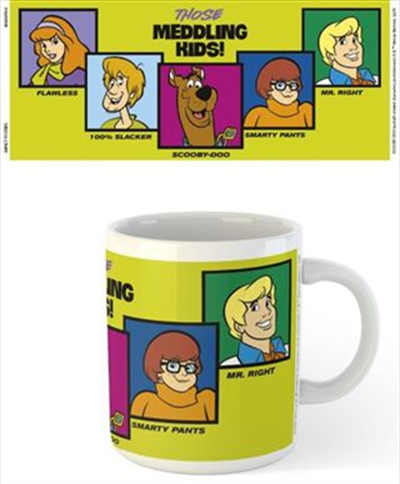 Scooby Doo - Meddling Kids | Merchandise