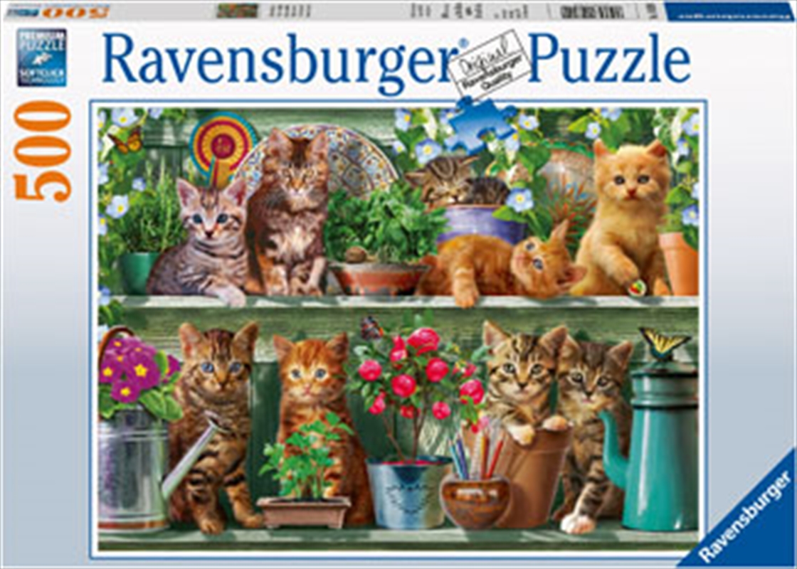 Ravensburger - Cats on the Shelf Puzzle 500 Piece/Product Detail/Nature and Animals