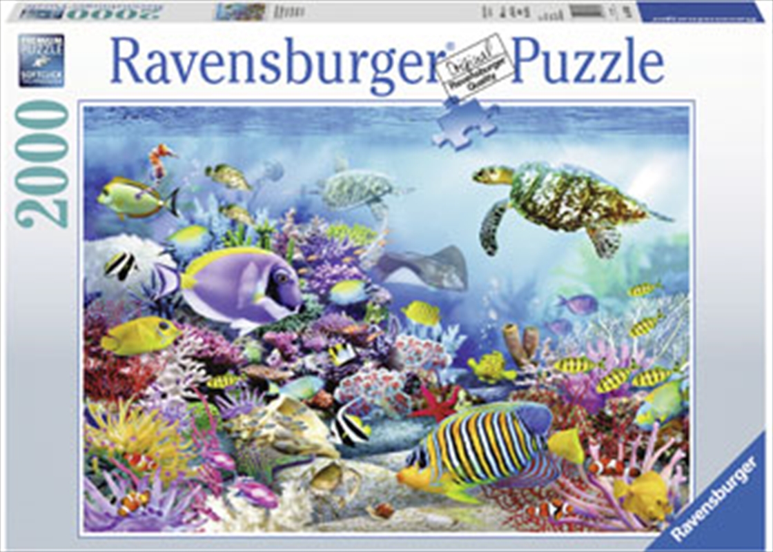 Coral Reef Majesty 2000 Piece Puzzle/Product Detail/Nature and Animals