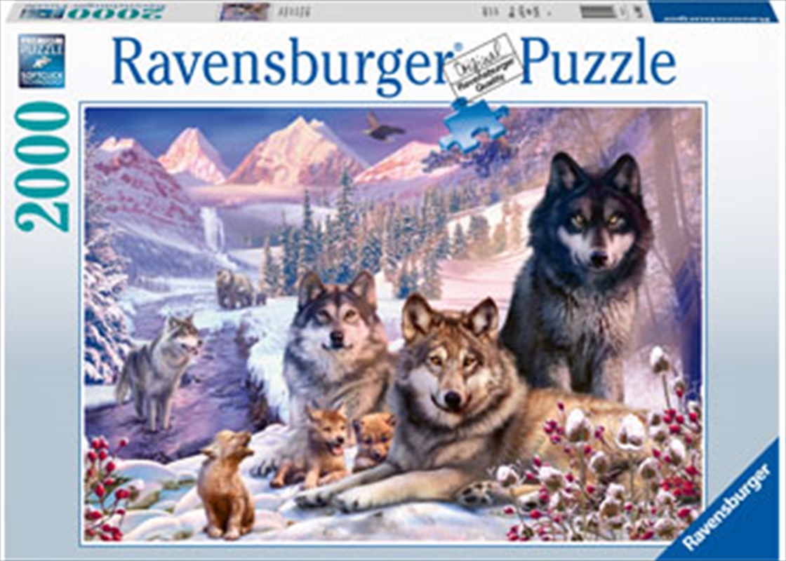 Wolves In The Snow 2000pc/Product Detail/Nature and Animals