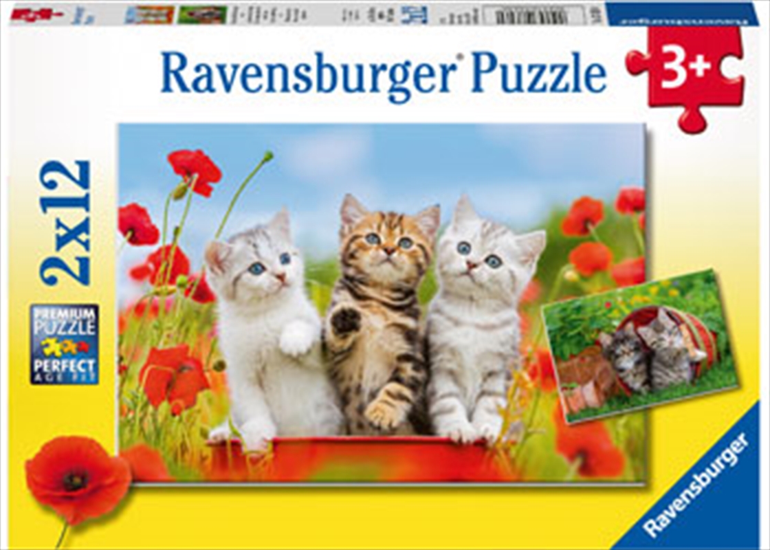Ravensburger - Kitten Adventures Puzzle 2x12 Piece/Product Detail/Education and Kids