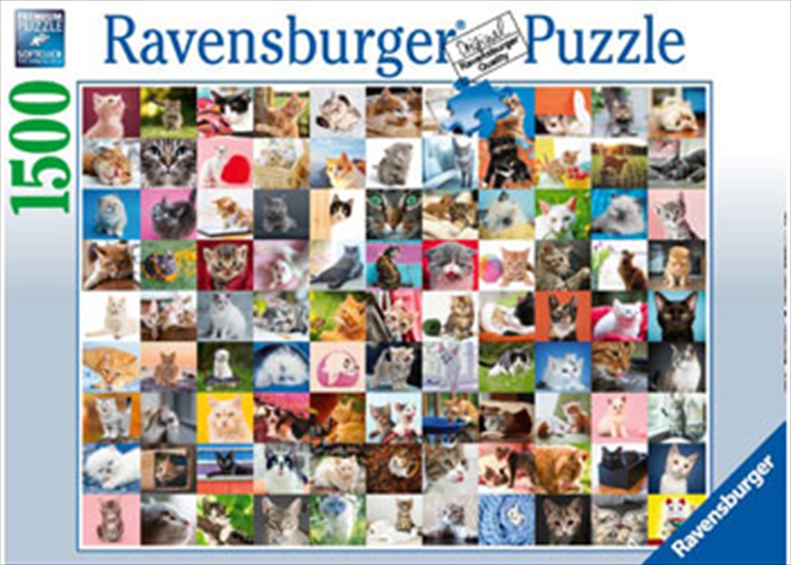 Ravensburger - 99 Cats Puzzle 1500pc/Product Detail/Nature and Animals