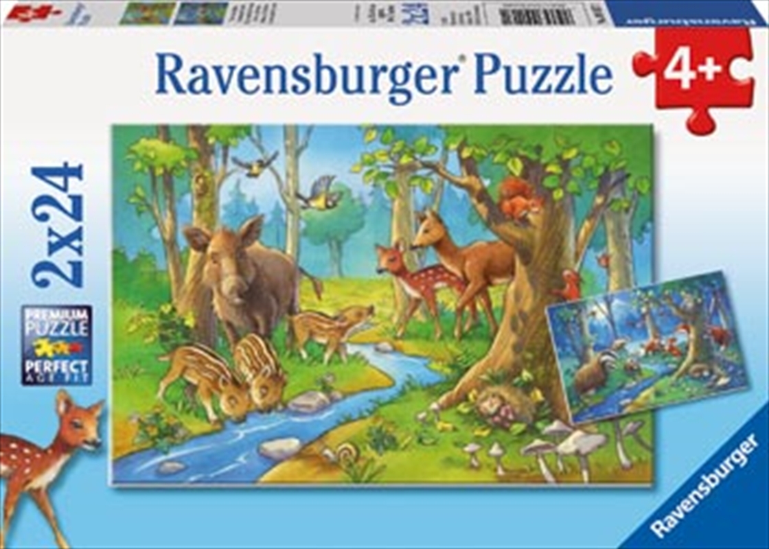 Ravensburger - Cute Forest Animals Puzzle 2x24 Piece/Product Detail/Education and Kids
