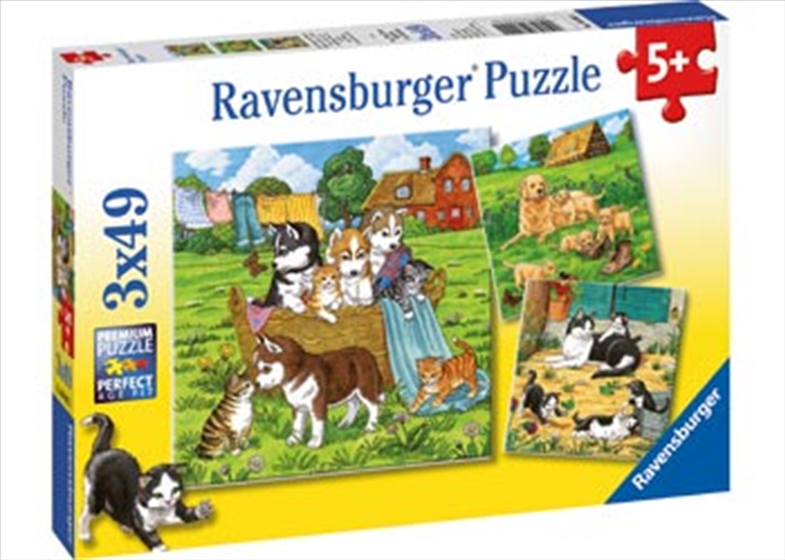 Cats And Dogs 3x49 Piece Puzzle/Product Detail/Education and Kids