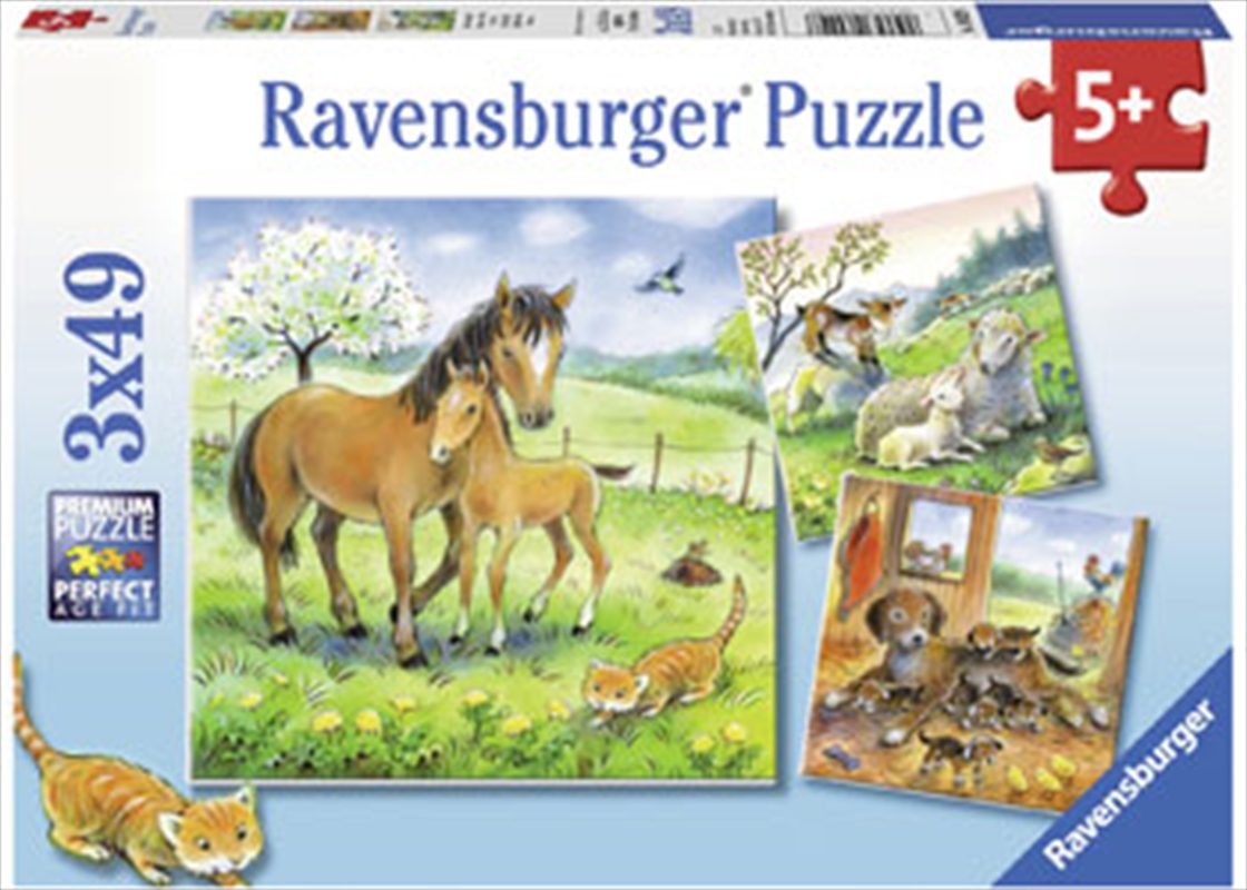 Ravensburger - Cuddle Time Puzzle 3x49 Piece/Product Detail/Nature and Animals