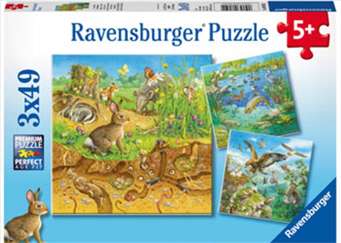 Ravensburger - Animals in their Habitats Puzzle 3x49 Piece/Product Detail/Nature and Animals