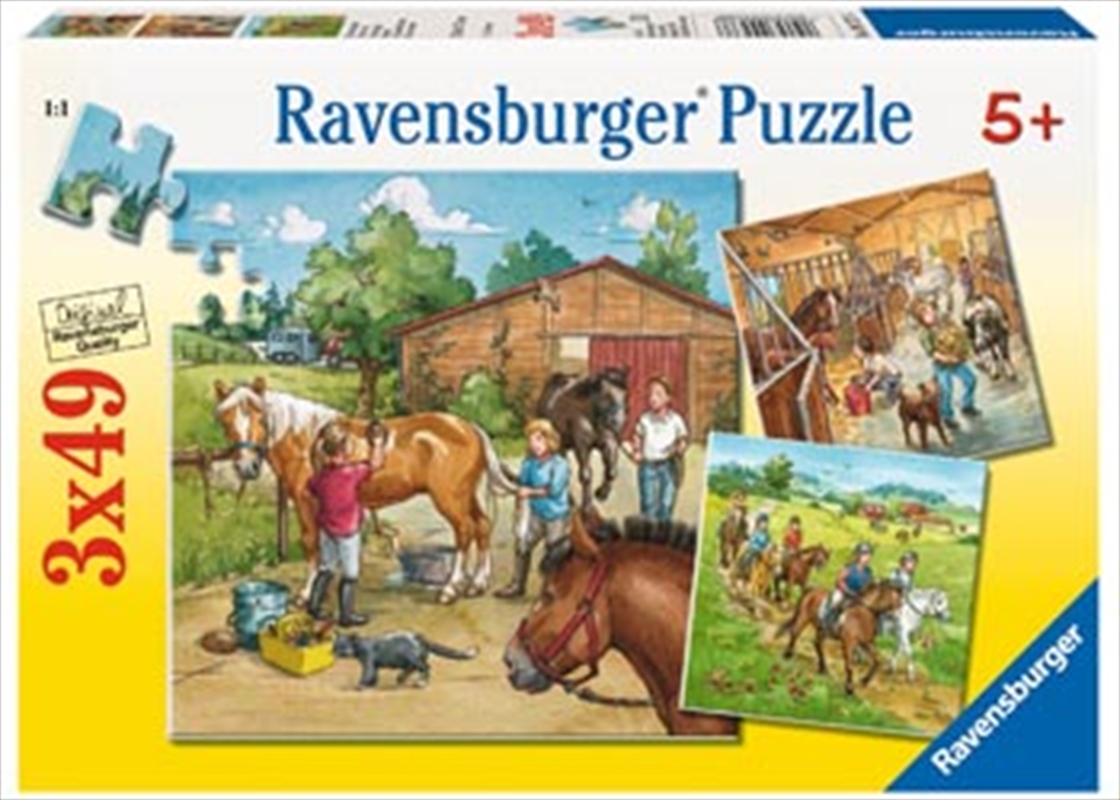 Ravensburger - A Day with Horses Puzzle 3x49 Piece Puzzle/Product Detail/Nature and Animals
