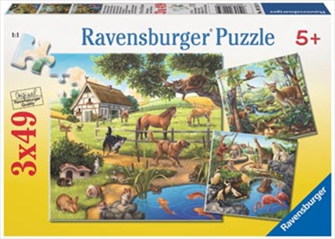 Ravensburger - Forest Zoo & Pets Puzzle 3x49 Piece/Product Detail/Nature and Animals