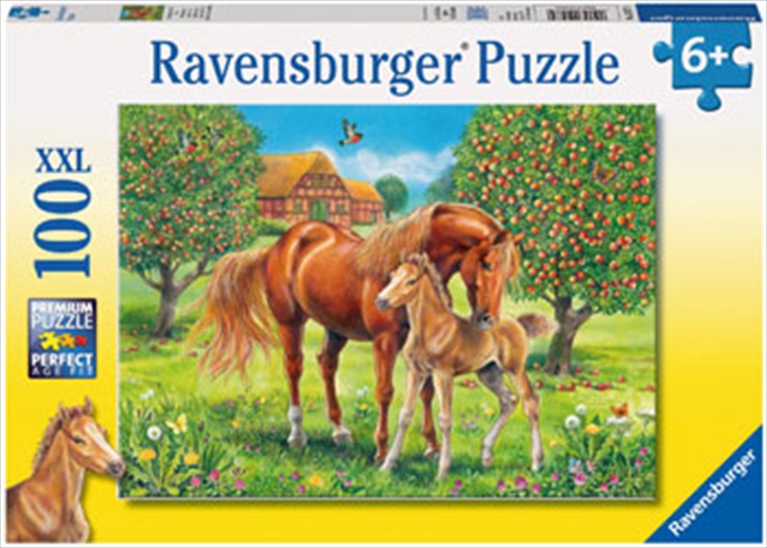 Ravensburger - Horses in the Field 100 Piece Puzzle/Product Detail/Nature and Animals