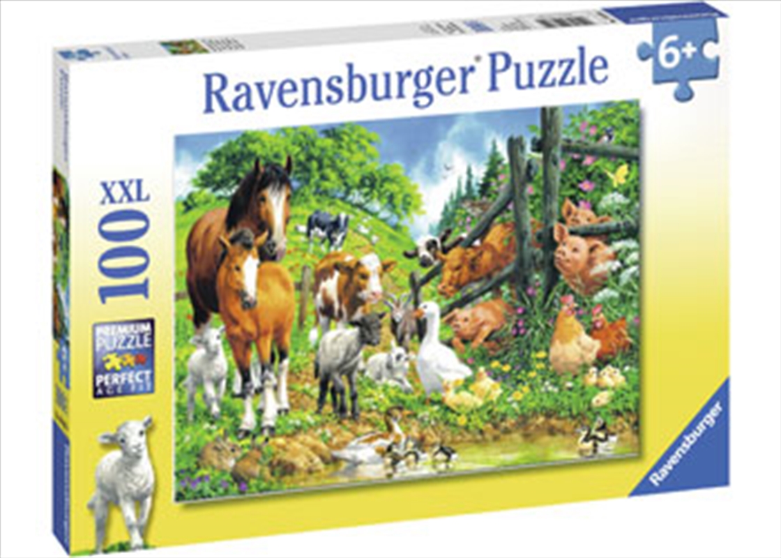 Ravensburger - Animal Get Together Puzzle 100 Piece/Product Detail/Nature and Animals