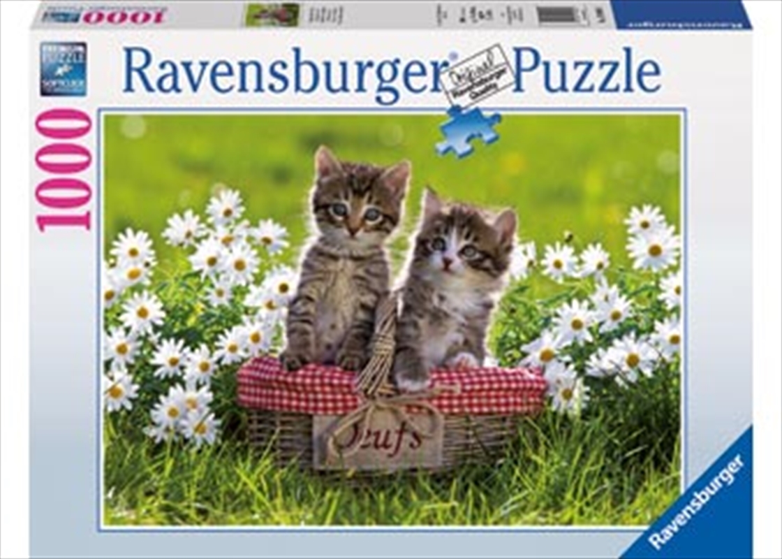 Ravensburger - Picnic in the Meadow Puzzle 1000pc/Product Detail/Nature and Animals