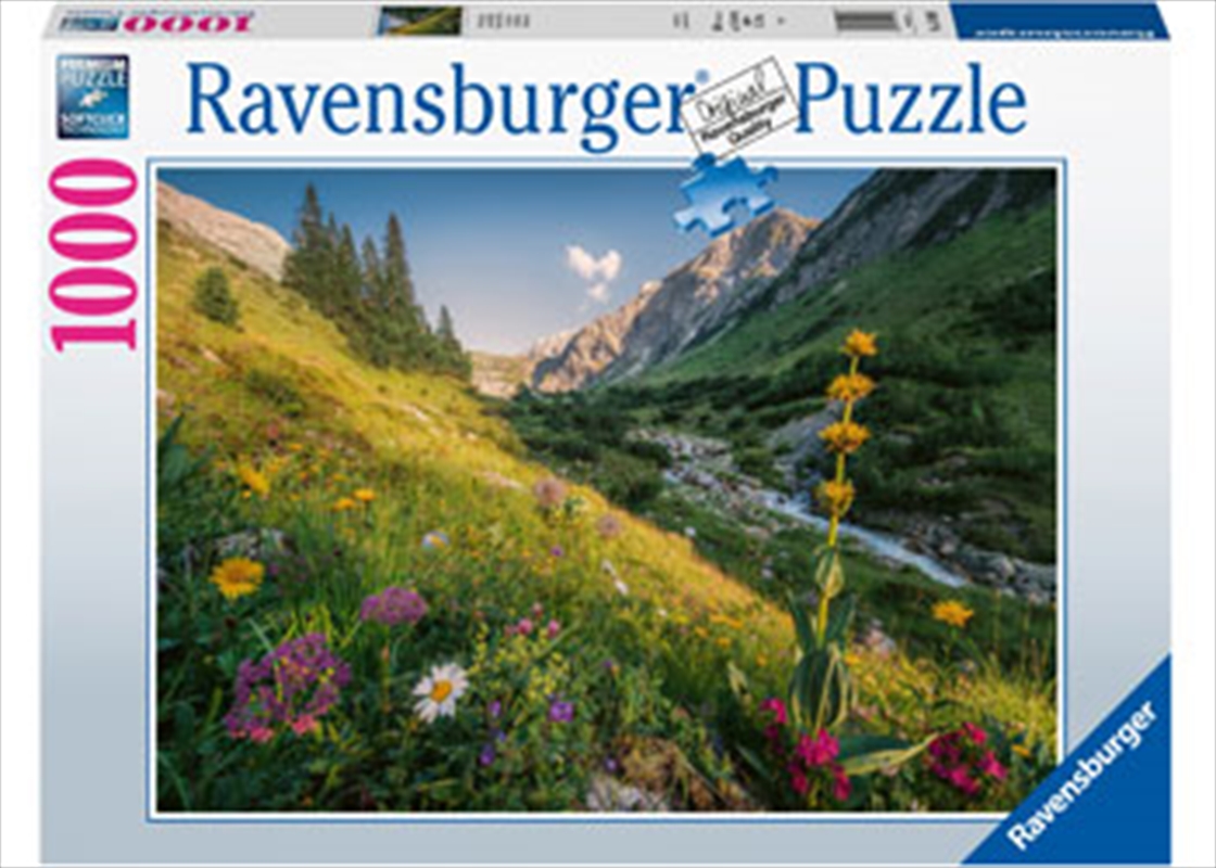 Magical Valley 1000pc | Merchandise