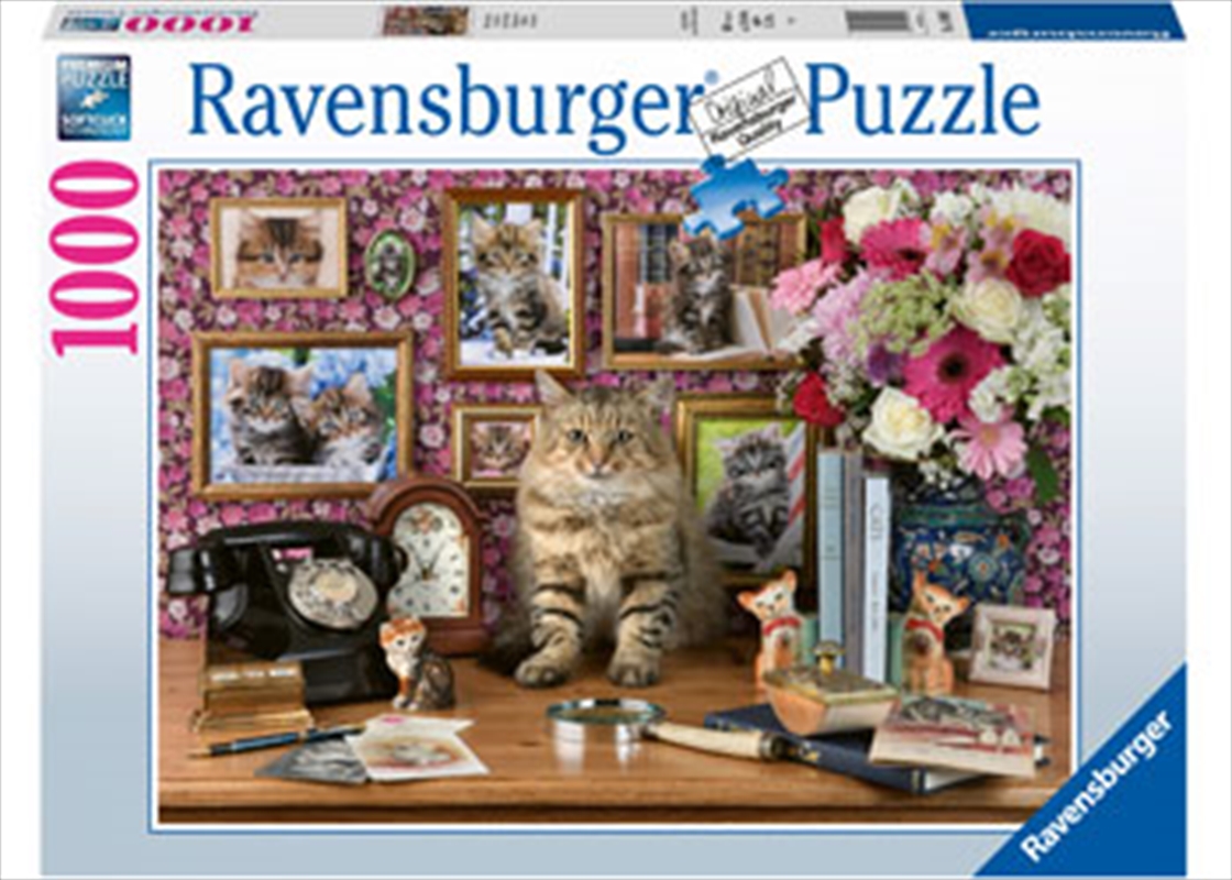My Cute Kitty 1000 Piece Puzzle | Merchandise