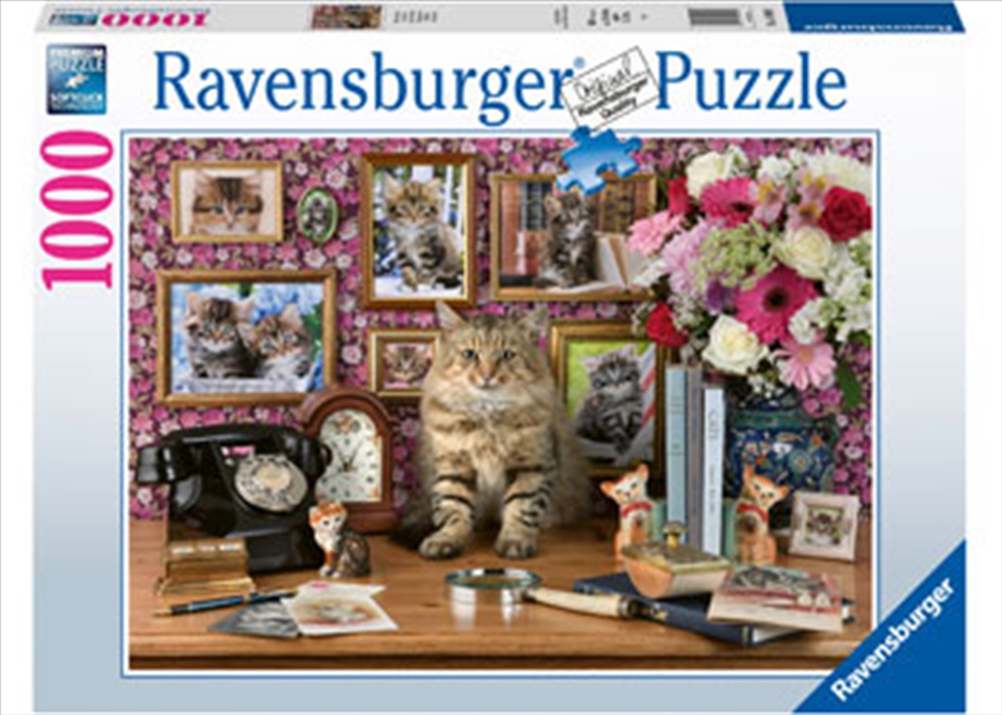 My Cute Kitty 1000 Piece Puzzle/Product Detail/Nature and Animals