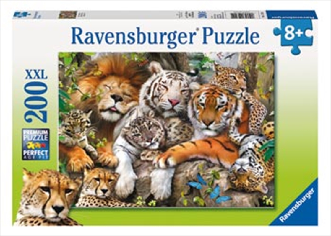 Big Cat Nap 200 Piece Puzzle/Product Detail/Nature and Animals