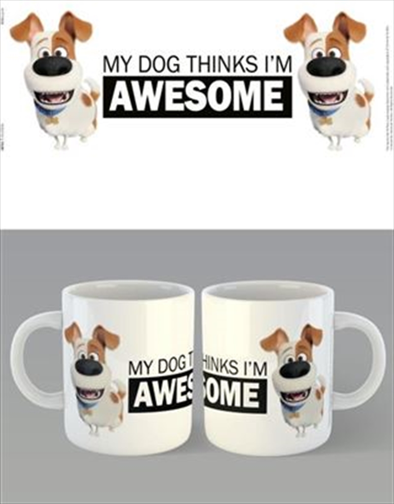 Secret Life Of Pets 2 - Awesome | Merchandise
