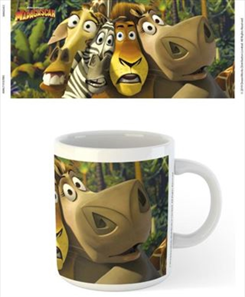Madagascar Faces/Product Detail/Mugs