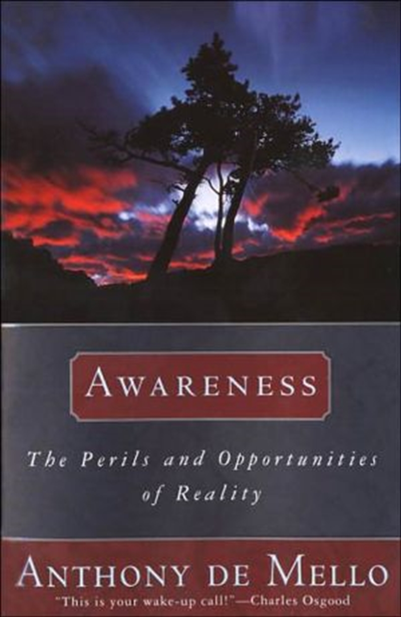 Awareness: The Perils And Opportunities Of Reality/Product Detail/Religion & Beliefs