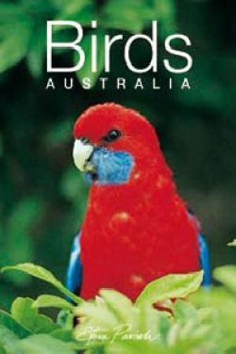 Steve Parish Mini Souvenir Book: Birds, Australia/Product Detail/Reading
