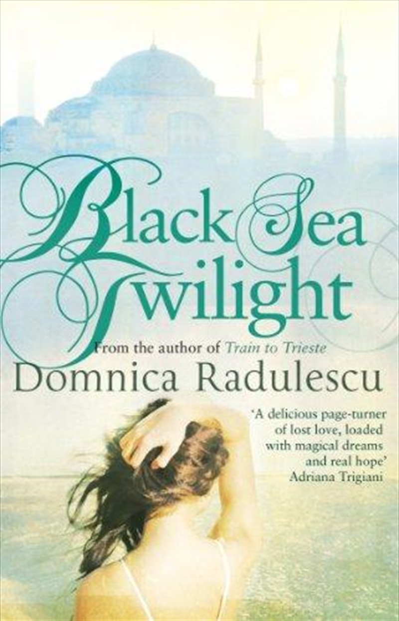 Black Sea Twilight/Product Detail/Historical Fiction