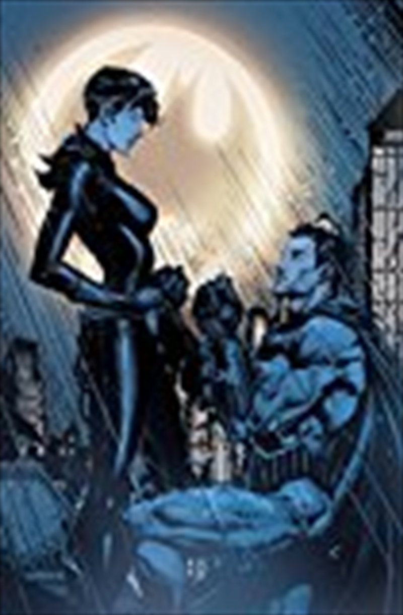 Batman/Catwoman: The Wedding Album - The Deluxe Edition/Product Detail/Graphic Novels
