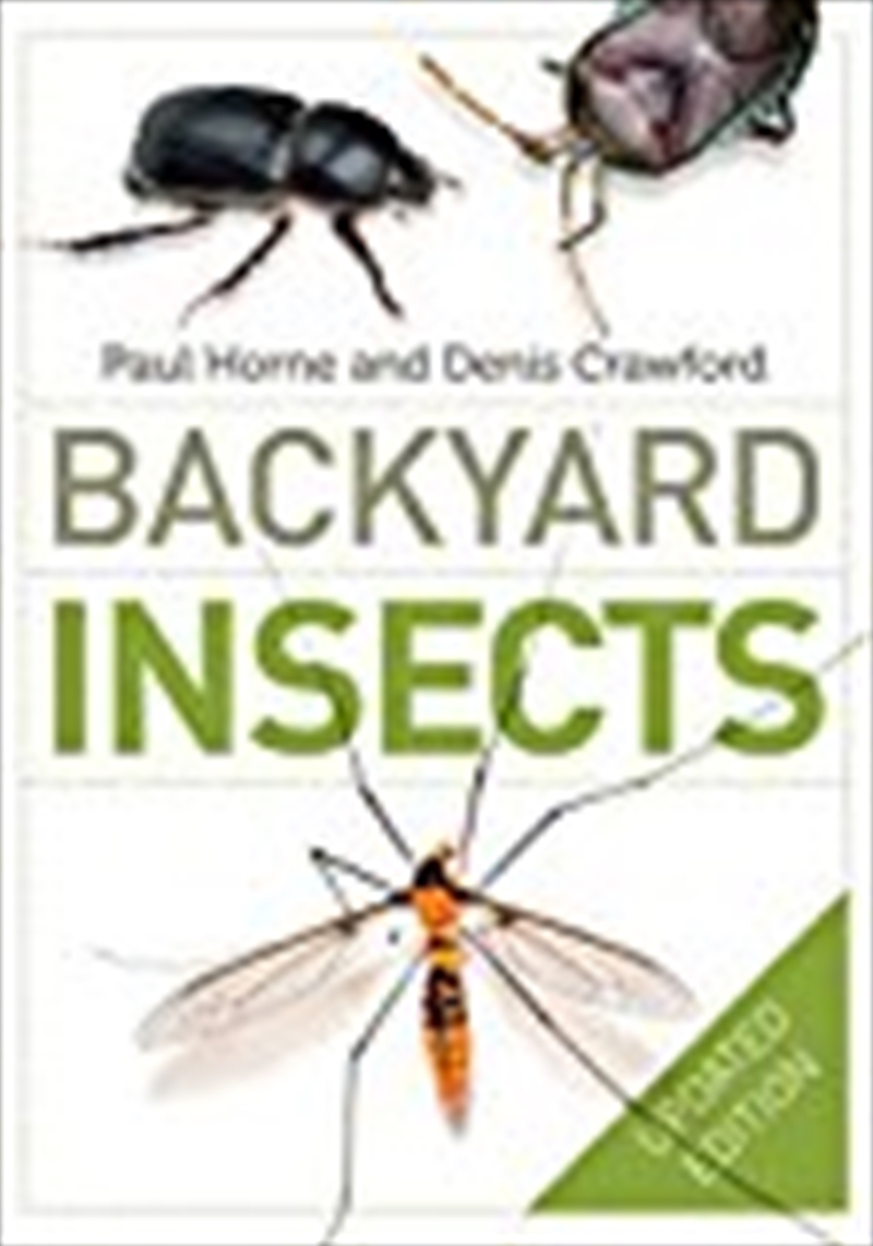 Backyard Insects Updated Edition/Product Detail/Animals & Nature