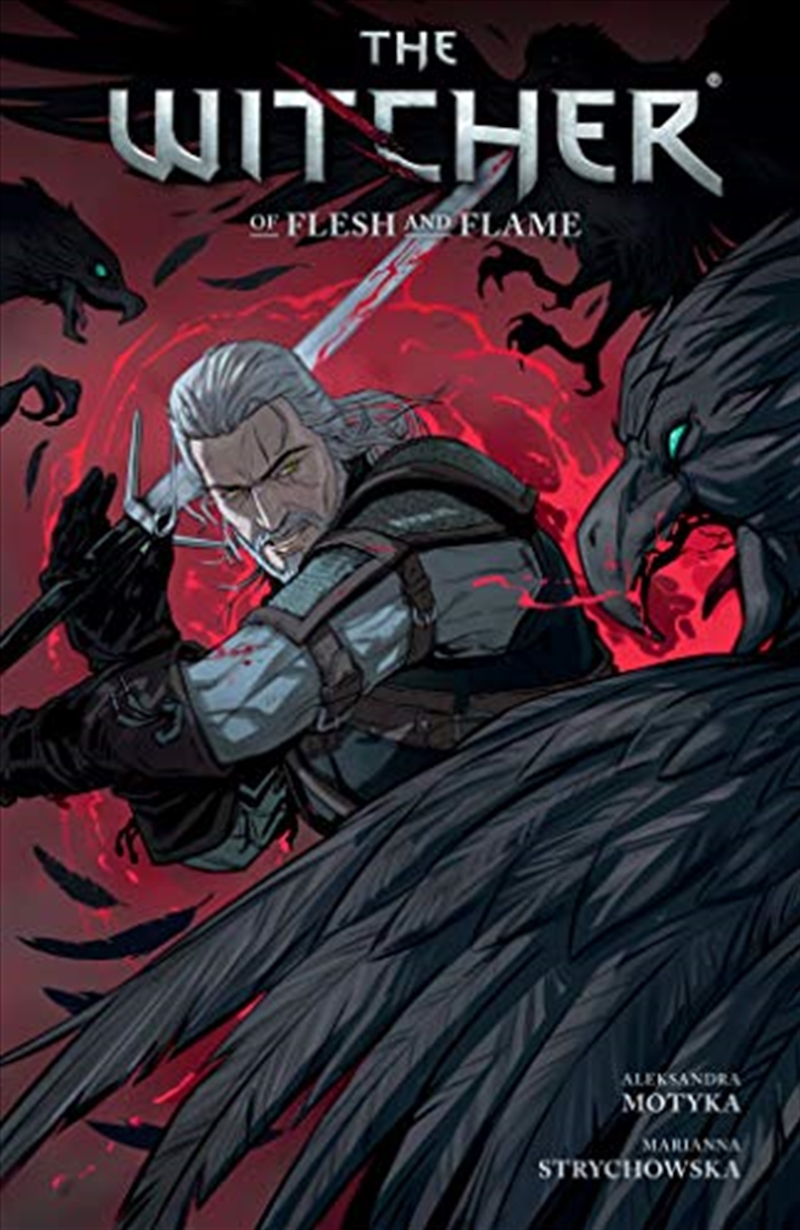 The Witcher Volume 4/Product Detail/Reading