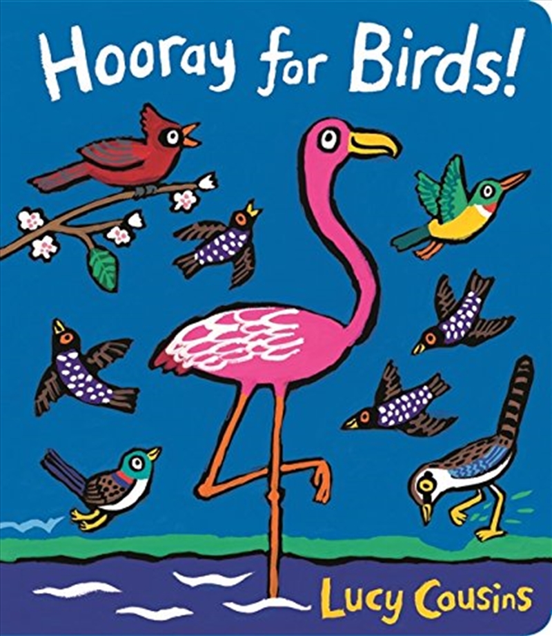 Hooray For Birds [board Book]/Product Detail/Early Childhood Fiction Books
