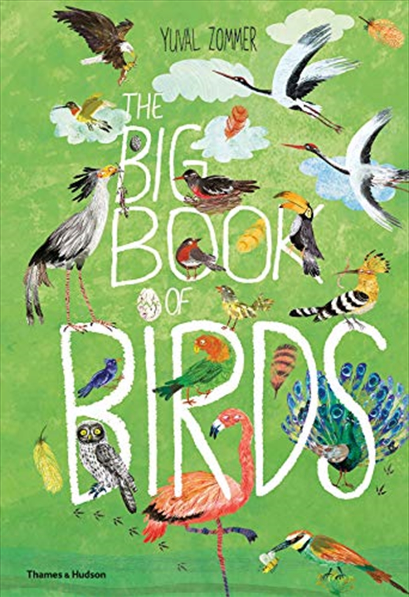 The Big Book Of Birds/Product Detail/Animals & Nature