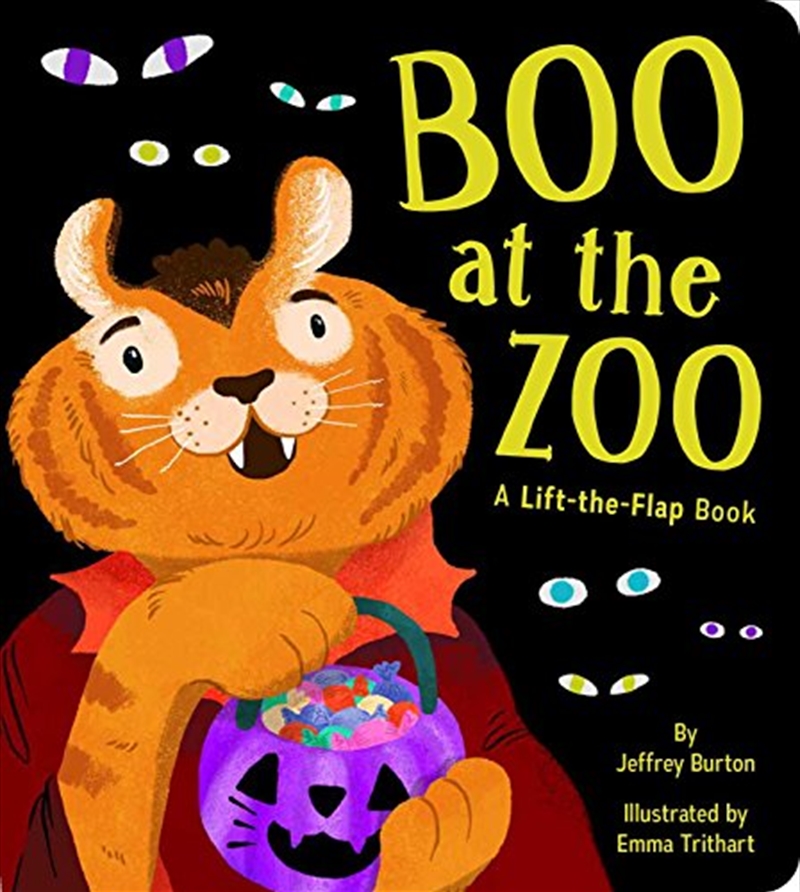 Boo At The Zoo: A Lift-The-Flap Book/Product Detail/Childrens Fiction Books