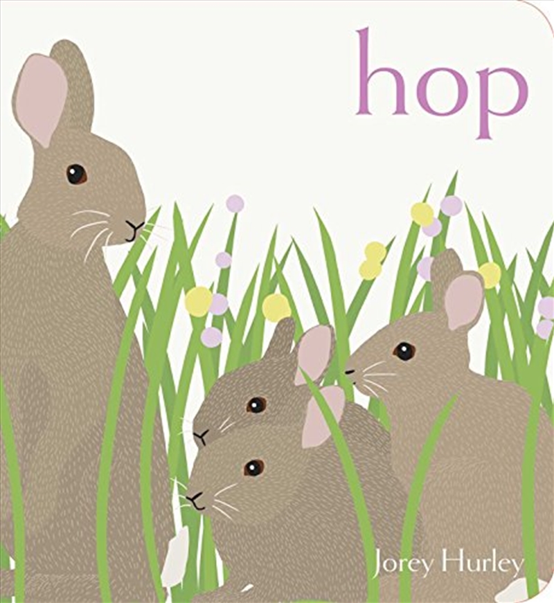 Hop (classic Board Books)/Product Detail/Childrens