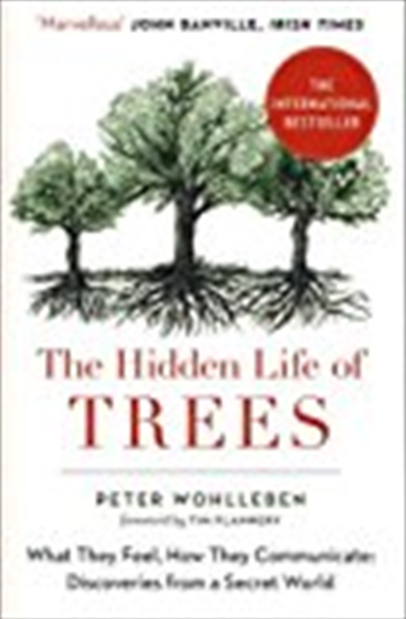 The Hidden Life Of Trees: The International Bestseller - What They Feel, How They Communicate/Product Detail/Animals & Nature
