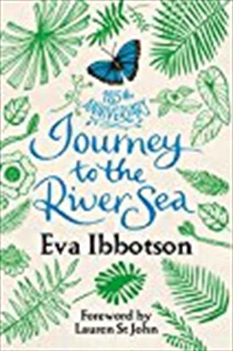 Journey To The River Sea/Product Detail/Childrens Fiction Books