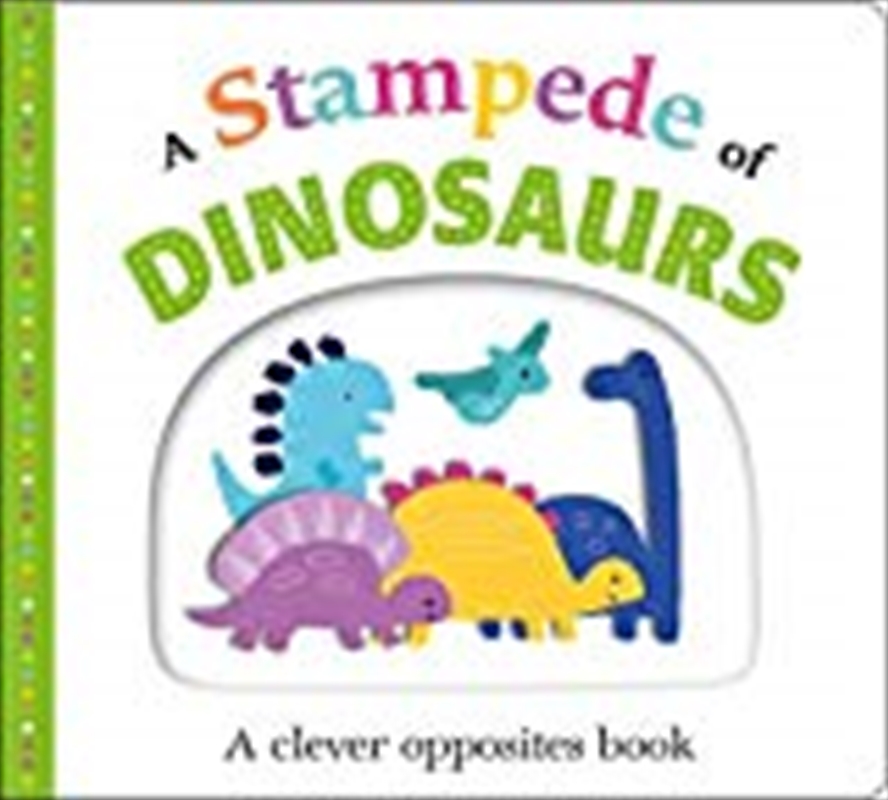 A Stampede Of Dinosaurs: Picture Fit/Product Detail/Kids Educational