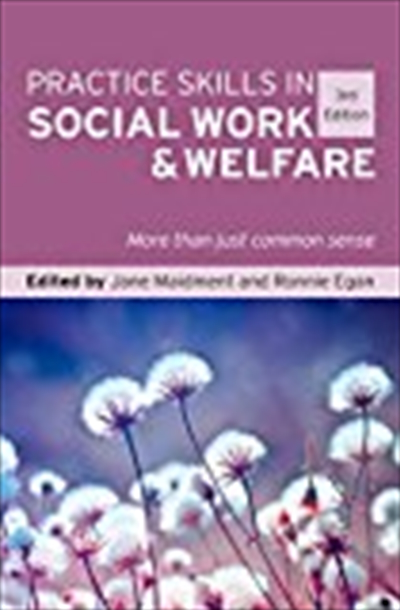 Practice Skills In Social Work & Welfare: More Than Just Common Sense/Product Detail/Politics & Government