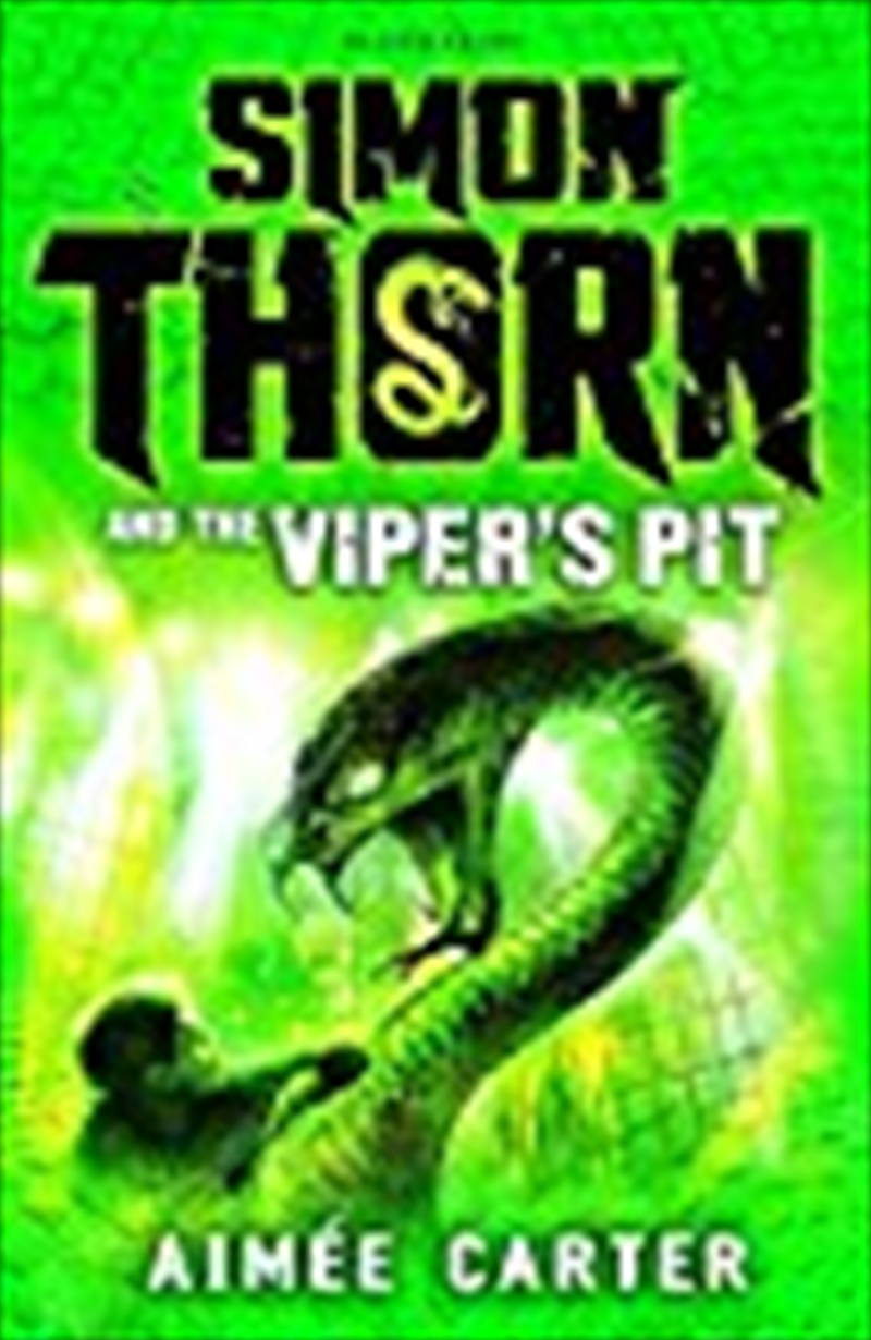 Simon Thorn And The Viperandapos;s Pit/Product Detail/Childrens Fiction Books