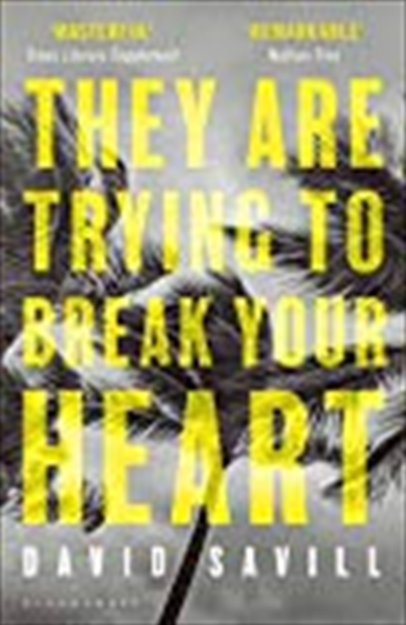 They Are Trying To Break Your Heart/Product Detail/Reading