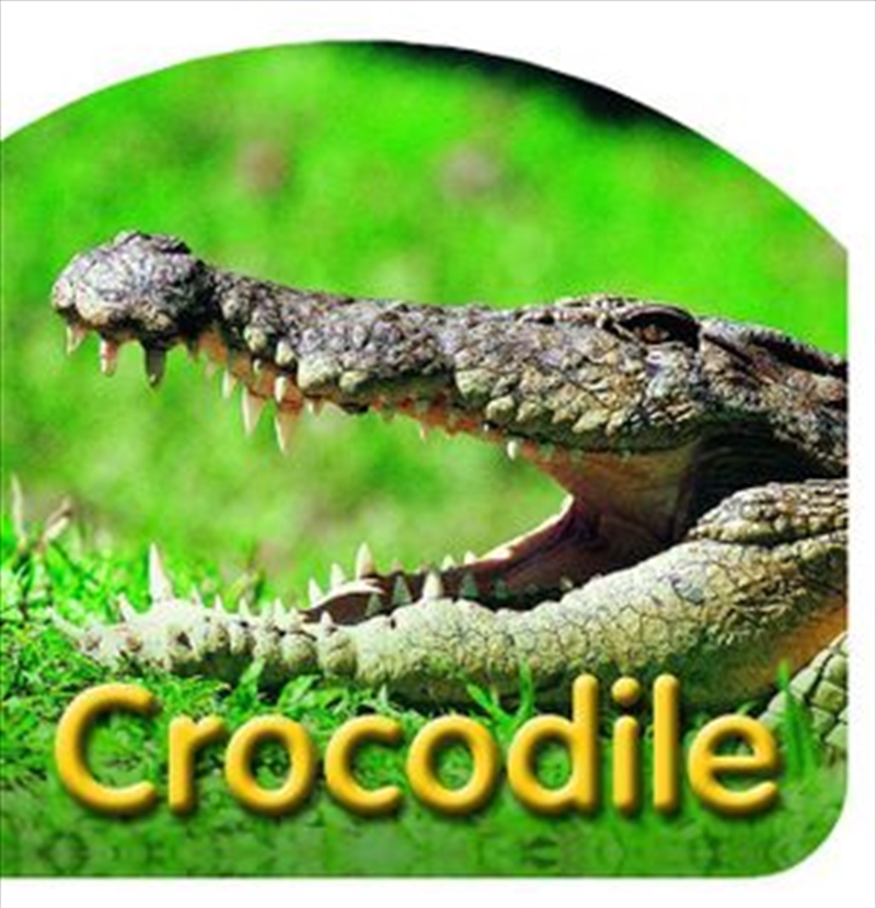 Steve Parish Board Book: Crocodile | Board Book